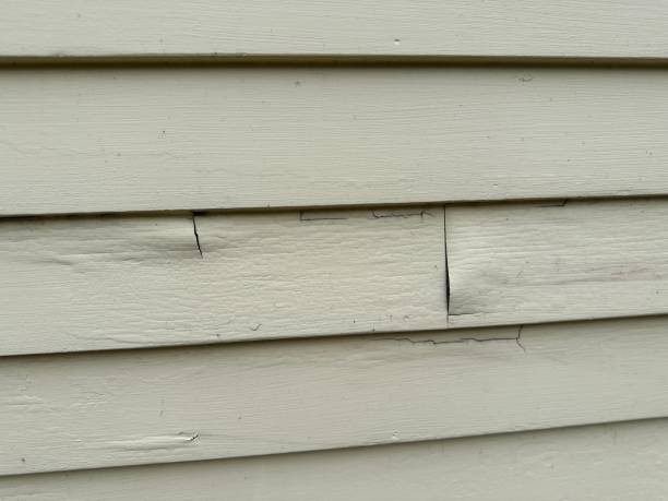 Best Construction Debris Removal  in Nanuet, NY